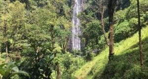 Themi Waterfall Tanzania