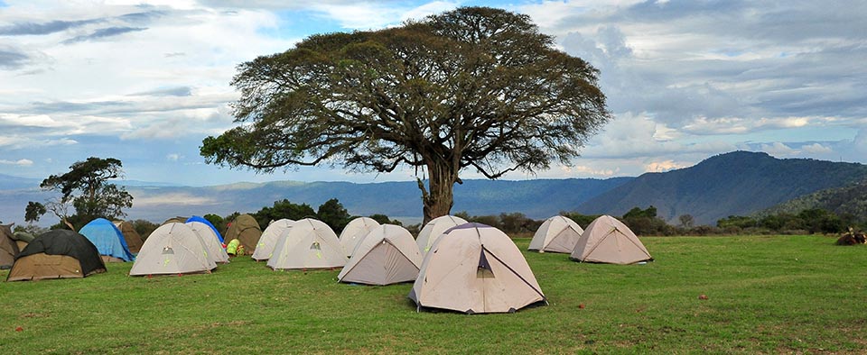 Simba Campsite